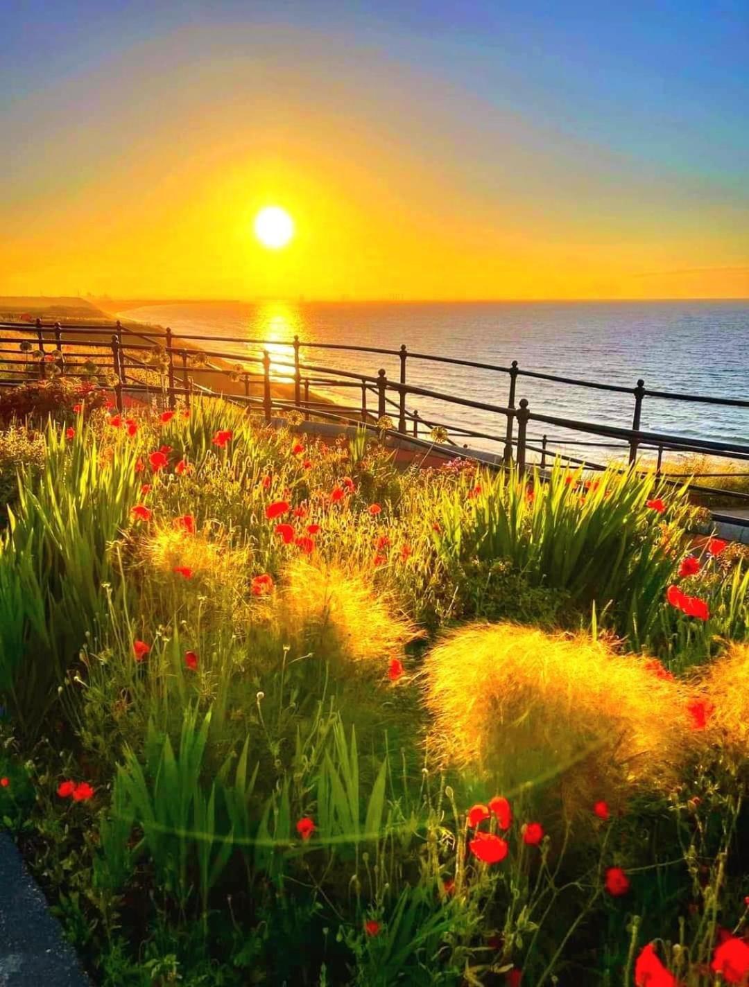 Captain'S Deck Beach Balcony Perfectlysaltburn Εξωτερικό φωτογραφία